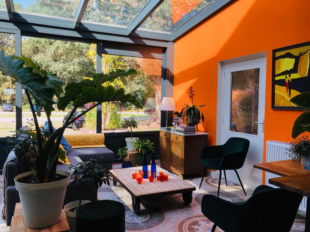 Villa Blauwhemel Diever Εξωτερικό φωτογραφία